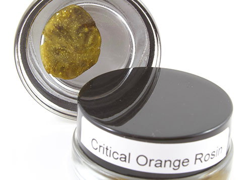 Critical orange Rosin