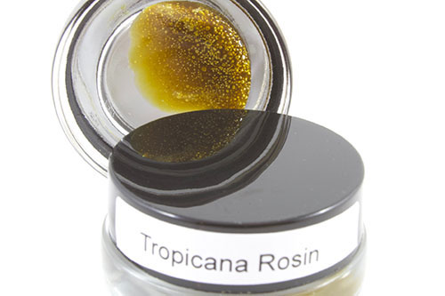 Tropicana Rosin