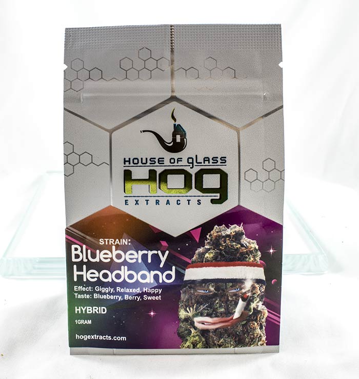 HoG Shatter Blueberry Headband