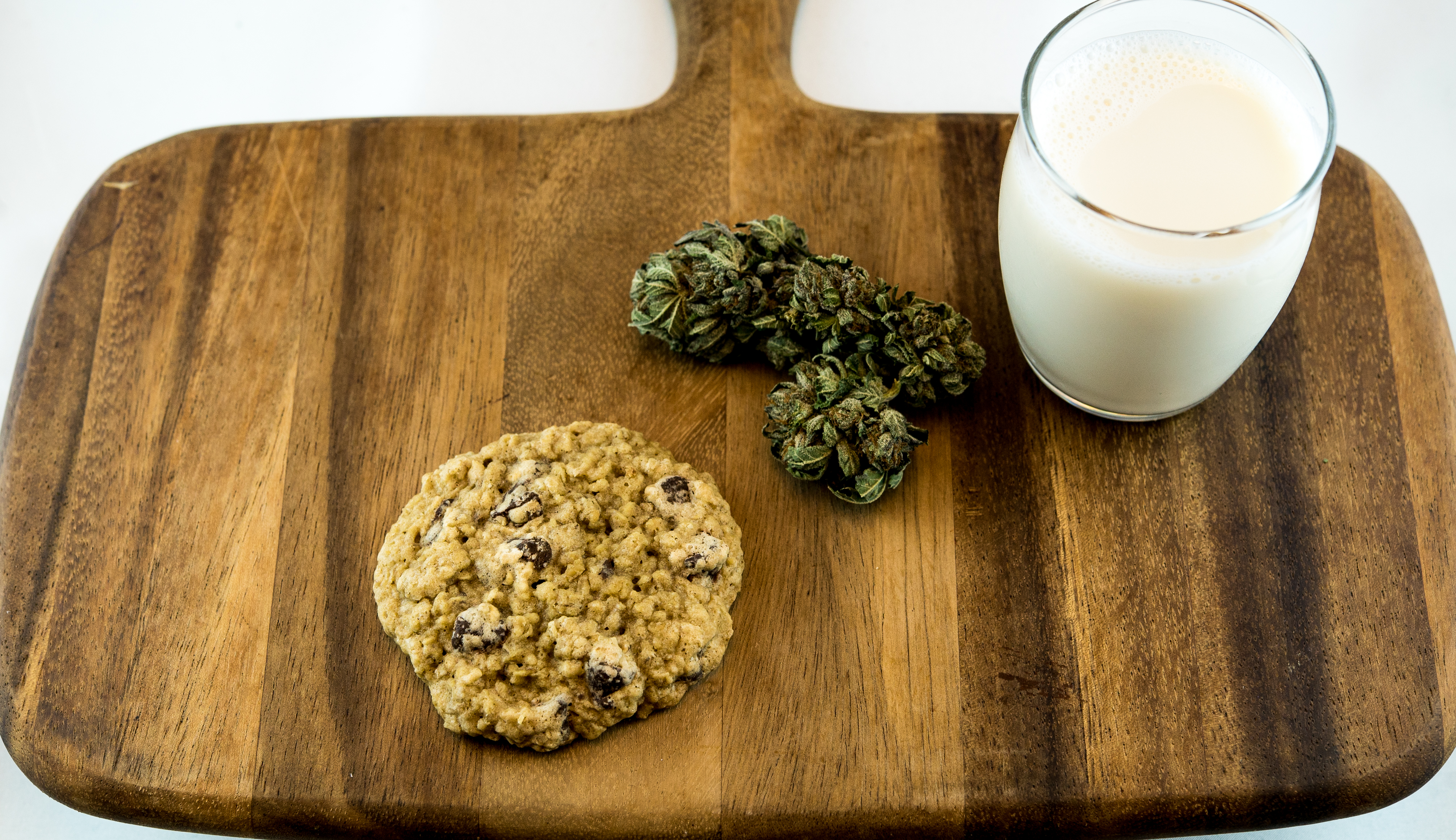 Marijuana Cookie  Chocolate Chip Green Therapy 