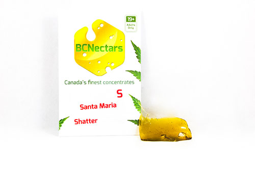 BC Nectars - White Pack - Santa Maria Shatter
