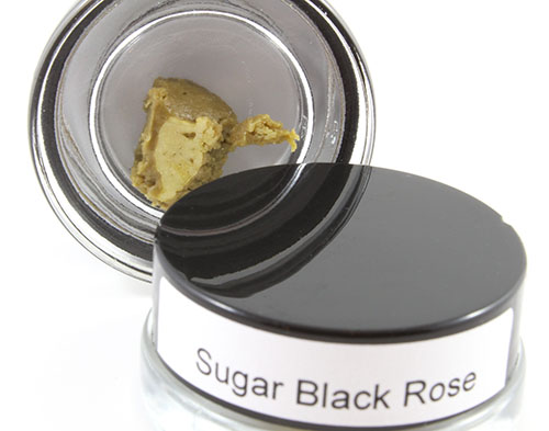 Sugar Black Rose Rosin Fire