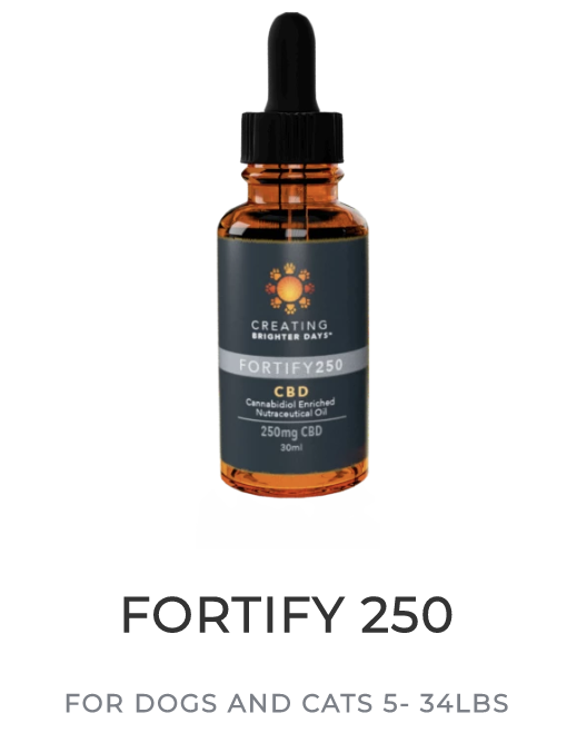 Creating Brighter Days Fortify 250 Pet Tincture